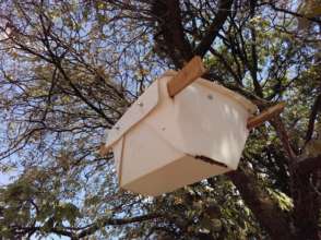 Beehive on smallholders farmland in the Copperbelt