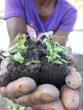 Women in Permaculture leading the way in Zambia