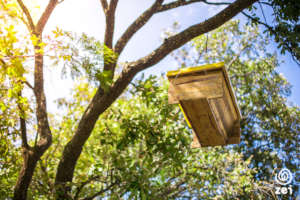 4 beehives will increase a family's income by 27%