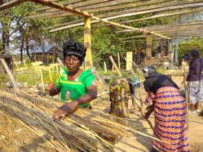 Female farmers learning to graft and bud trees