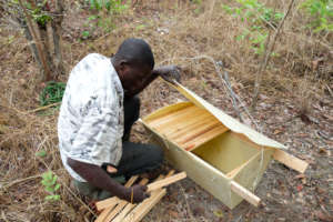 Assembling a new beehive