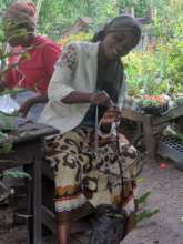 Fruit tree grafting Training