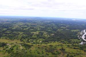 Aerial view of the farm woodlands