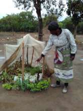 Veronica S. showing her small-scale tree nursery