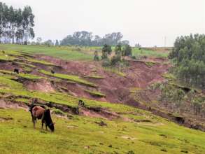 Gullies on a hillside reducing land productivity