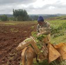 One of the Model Farmers in Amhara
