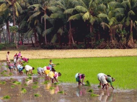 Transforming 199 Rural Villages in India