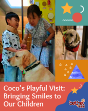 Our furry friend Coco!