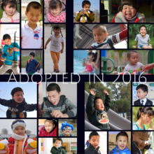 So many children adopted in 2016!