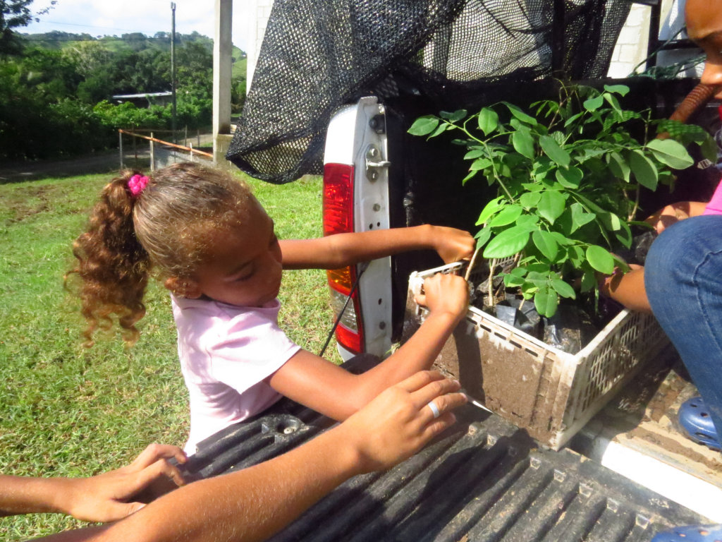 Help 125 Panamanian Students Act on Climate Change