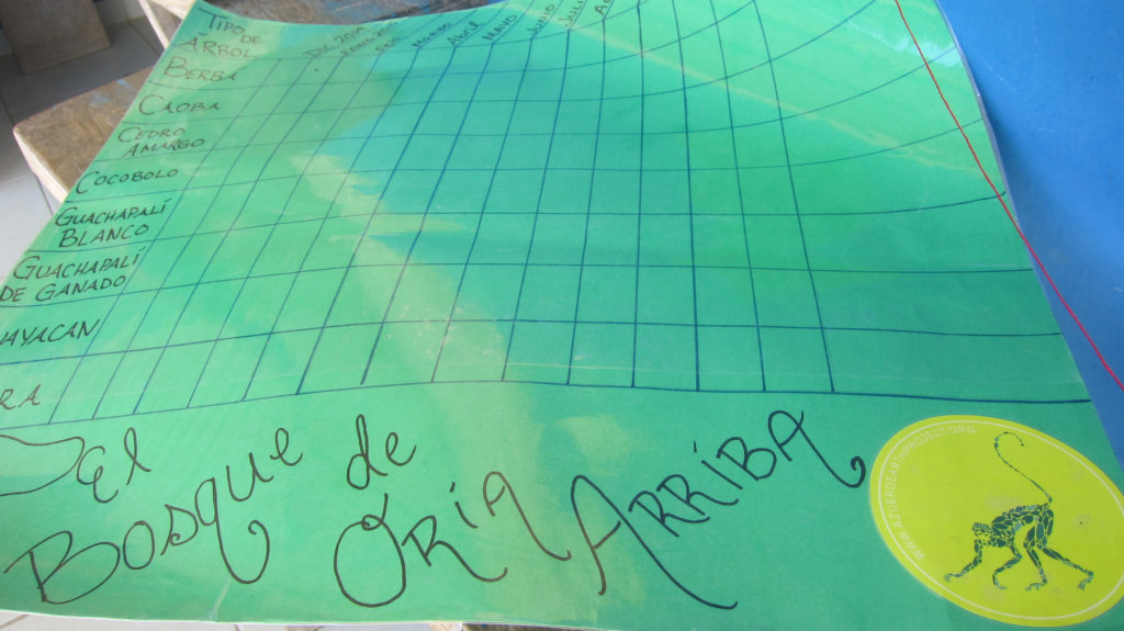 Help 125 Panamanian Students Act on Climate Change