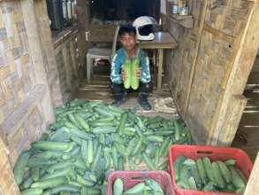 Continue with assistance