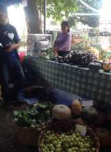 marketing vegetables in the city