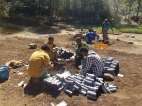 Our team prepares the pots for planting