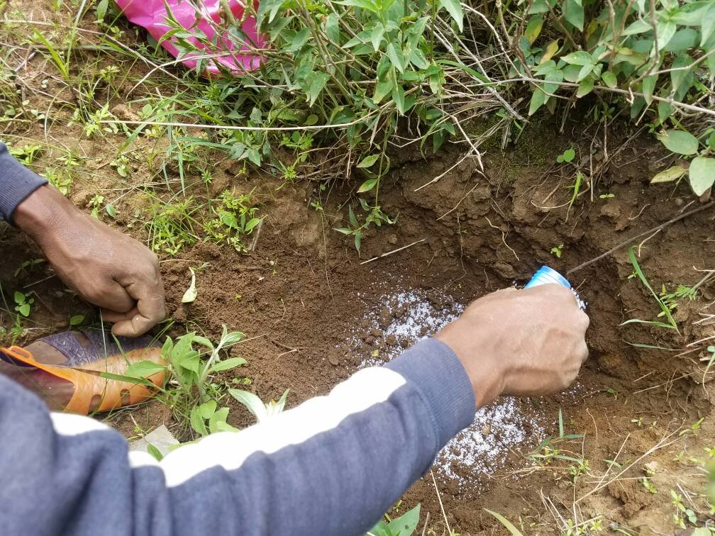Small gel balls release water when soil is dry