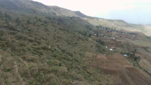 Degraded dry Afromontane forest in Tigray