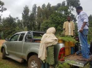 Community workers working on the project site