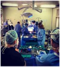 The Operating Room Team