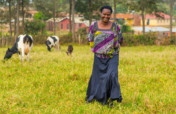 Agriculture Finance: Invest in Farmers Worldwide