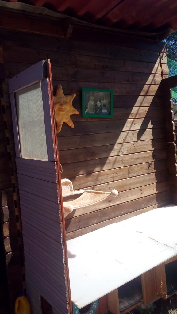 Insulating in cat sheds  and Solar Plates