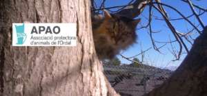 Insulating in cat sheds  and Solar Plates