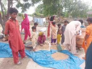 Training on Nadi filter