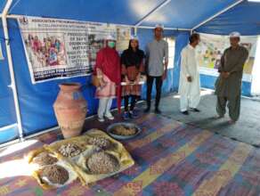 Nadi filter training