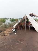 IDP living in tents