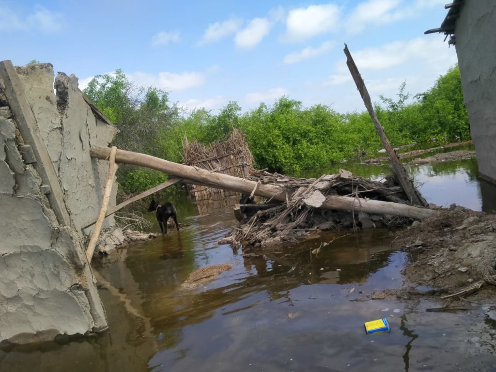 Safe Drinking Water for Flood Victims Pakistan