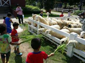 Tamar Childrens Outing to Sheepfarm in Pattaya