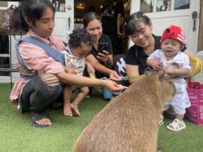 Playing with the Capybara