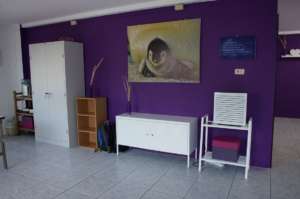 Renovation Card Room