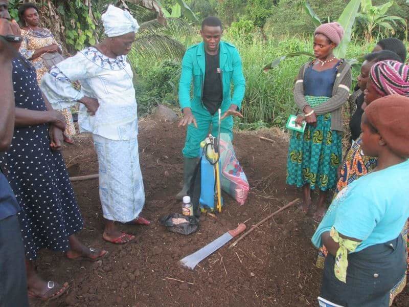 Field demonstration