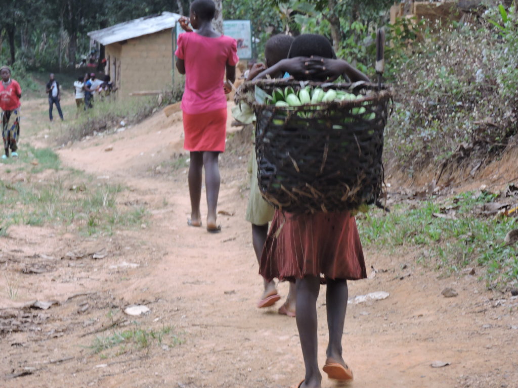 Stop Malnutrition and Infant Mortality in Cameroon