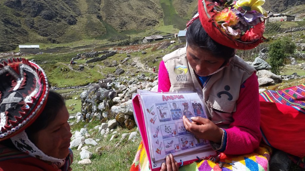 Support 55 Peruvian Community Health Workers