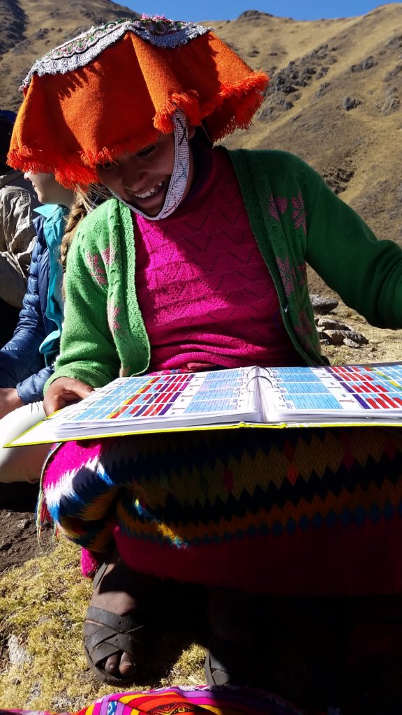 Support 55 Peruvian Community Health Workers
