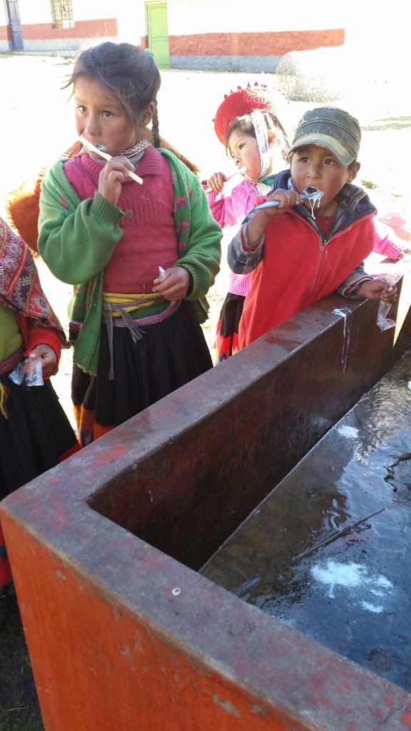 Support 55 Peruvian Community Health Workers