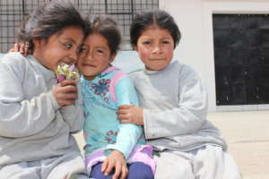 E-Libraries in Ecuador