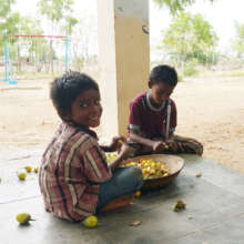 DSH children cutting fruits from the farm