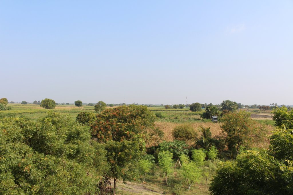 Sustainable Farming to Support Tamil Nadu Children