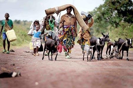 Emergency relief for women and children in Goma