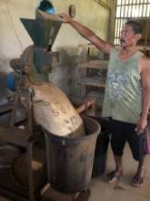 processing the tea product