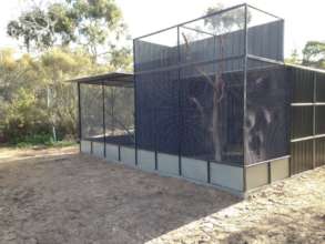Rewilding Project Aviary