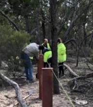 Rewilding Project Volunteers Assisting