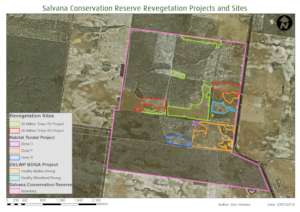 Salvana revegetation overview map