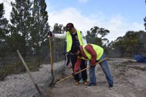 Checking and repairing half a mile of fence