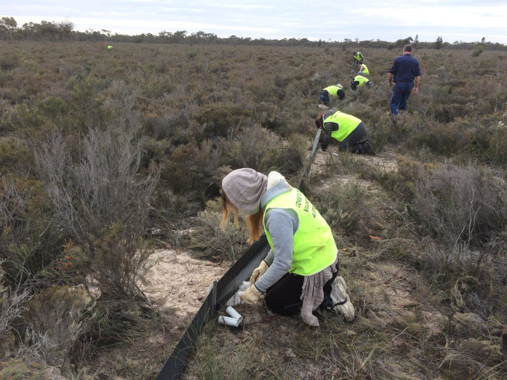 Rewilding the Desert: saving threatened species