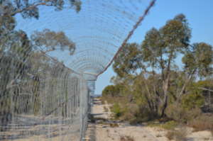 Predator-proof fence