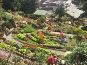 Urban Gardens at Cerro de los Valores