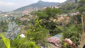 View from one of the urban gardens